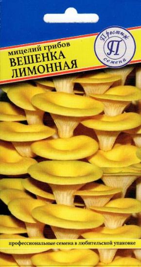 Мицелий грибов Вешенка лимонная 12 палочек