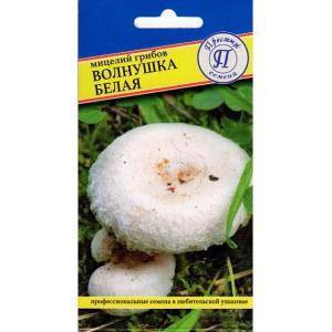Мицелий грибов Волнушка белая 60 мл.
