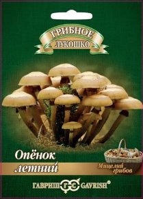 Мицелий грибов "Опенок летний" на древесных палочках 12 шт.