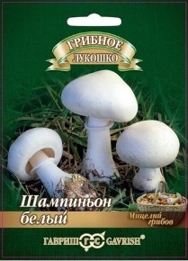 Мицелий грибов Шампиньон Белый на зерновом субстракте 15мл