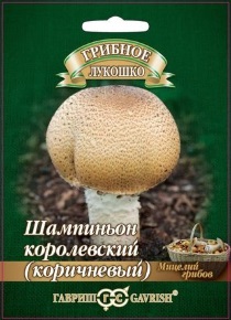 Мицелий грибов Шампиньон Коричневый на зерновом субстракте 15 мл.  4601431050952