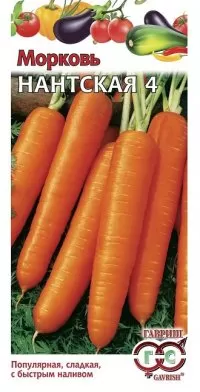 Морковь Нантская 4  2гр.