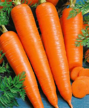 Морковь Поздняя Сладкая F1  1 гр.   	4610008127881