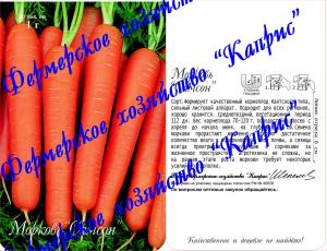 Морковь Самсон (20пак*1 гр.) Нидерланды
