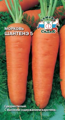 Морковь Шантанэ 5   1 гр.