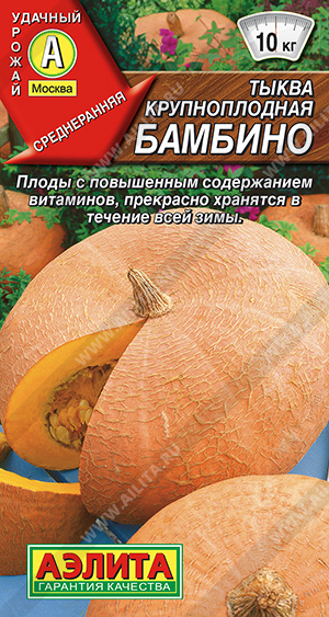 Тыква Бамбино 1 гр. крупноплодная