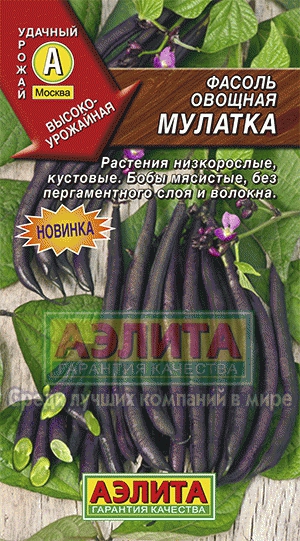 Фасоль Мулатка 5 гр. овощная, кустовая