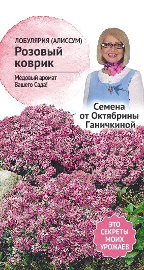 Алиссум Розовый коврик 0,1 гр. (семена от Ганичкиной)