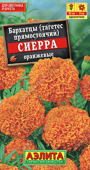 Бархатцы Сиерра оранжевые прям. 0,3 гр.
