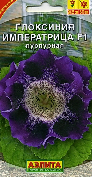 Глоксиния Императрица пурпурная 5 шт.