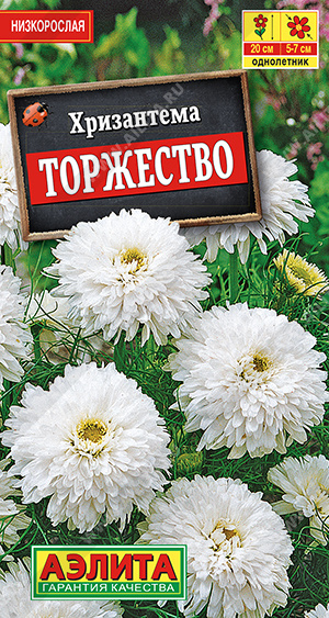Хризантема Торжество букетная 0,1 гр.