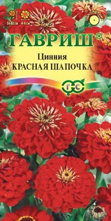 Цинния Красная Шапочка лилипут 0,3 гр.