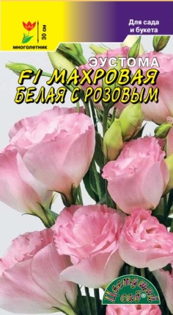 Эустома Махровая белая с Розовым 5 шт.  4607021864855