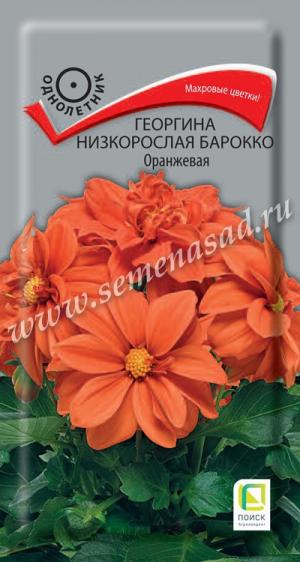 Георгина Барокко оранжевая низк. 0,1 гр.  4601887377672