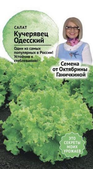 Салат Одесский кучерявец 1 г (семена от Ганичкиной)  4650091481644