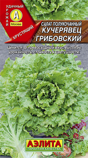 Салат Кучерявец грибовский 0,5 гр.