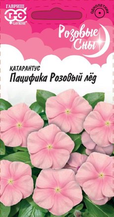 Катарантус розовый Пацифика Розовый лед 5 шт.   4601431050532