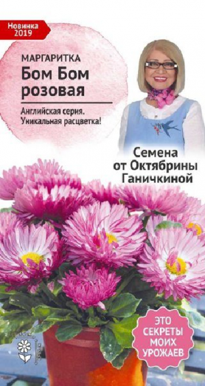 Маргаритка Бом Бом розовая 10 шт (семена от Ганичкиной)
