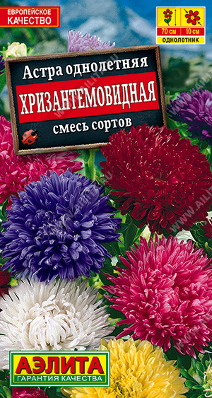 Астра Хризантемовидная, смесь окрасок 0,2 гр.