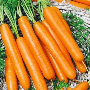 Морковь Корона 0,5г