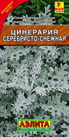 Цинерария Серебристо-снежная 0,1г