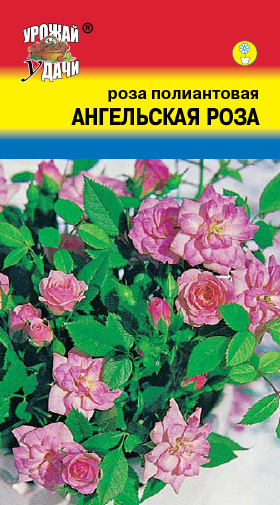 Роза Ангельская роза 0,03г