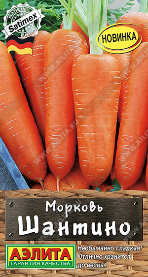 Морковь Шантино  2г