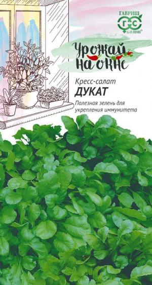 Салат Кресс-салат Дукат 1г урожай на окне